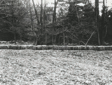 Carl Andre, Joint, 1968, hay bales, Windham College, VT. (Courtesy of Paula Cooper Gallery, Licensed by VAGA).