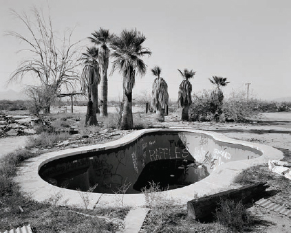 Michael Berman, Pool and Palms, Gila Bend, AZ, from the portfolio Under a Dry Moon...