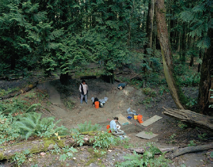 Jeff Wall, Fieldwork.