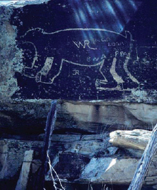 Desecrated Bear Petroglyph, Pueblo Blanco, Galisteo Basin, c. 1998.