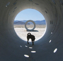 Rez Dog at Nancy Holt’s Sun Tunnels.