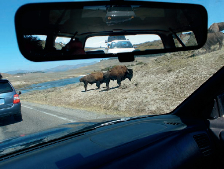 Lewis Koch, from Twentyone Yellowstone Parking Lots, artist’s book, 2012.