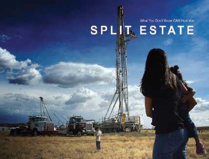 Debra Anderson (director), poster from Split Estate, 2009.