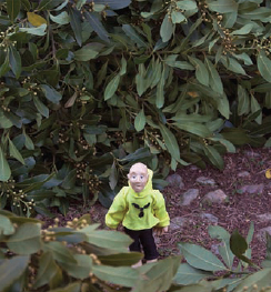 Marguerite Kahrl (with Andrew Davidson, Kathleen Sullivan, Mothers for Peace), Paradise Lost, 2010.