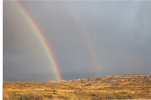 Judy Tuwaletstiwa, Northern Arizona, c. 2010.