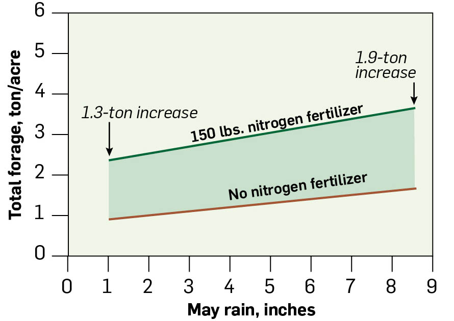 A graph showing total forage of ton per acre, and inches of rain in May, showing a 1.3 to 1.9 ton increase of forage using nitrogen fertilizer.