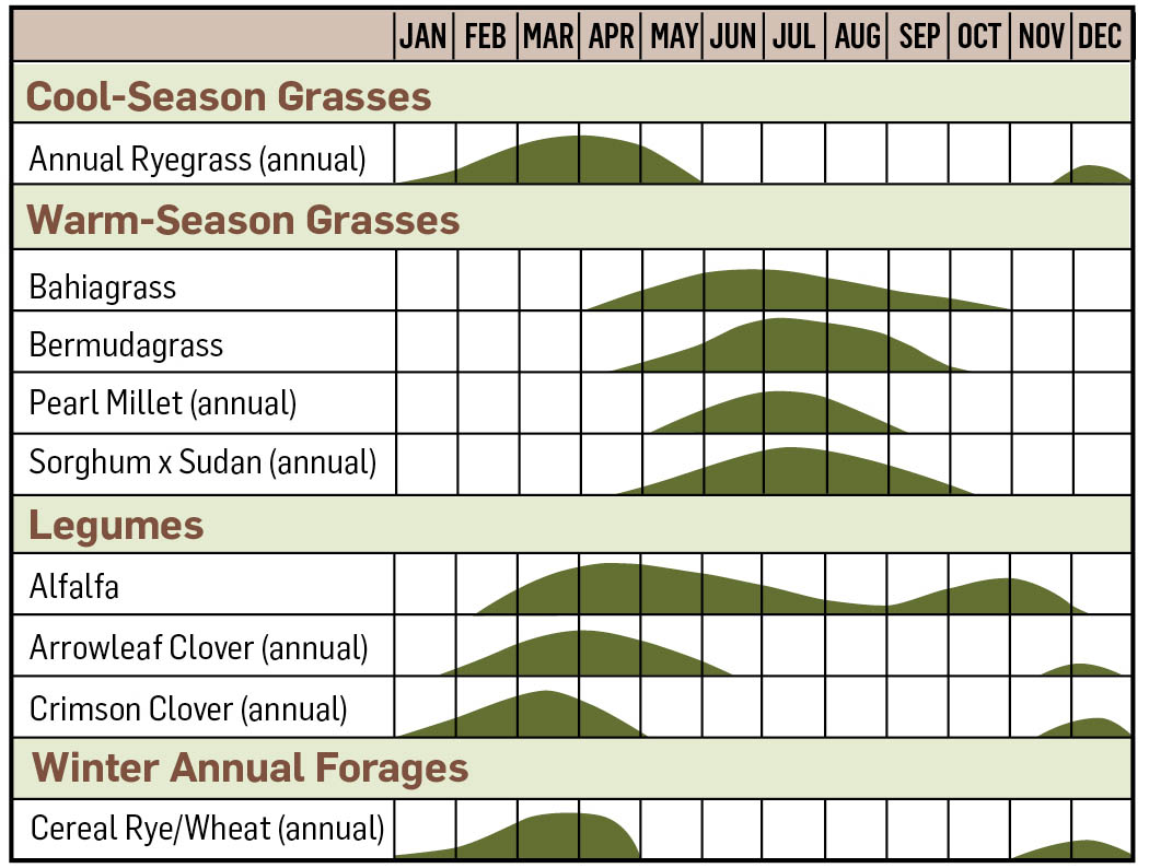 An extensive chart showing the growth rates for various types of cool-season grasses, warm-season grasses, legumes, and winter annual forages over twelve months.