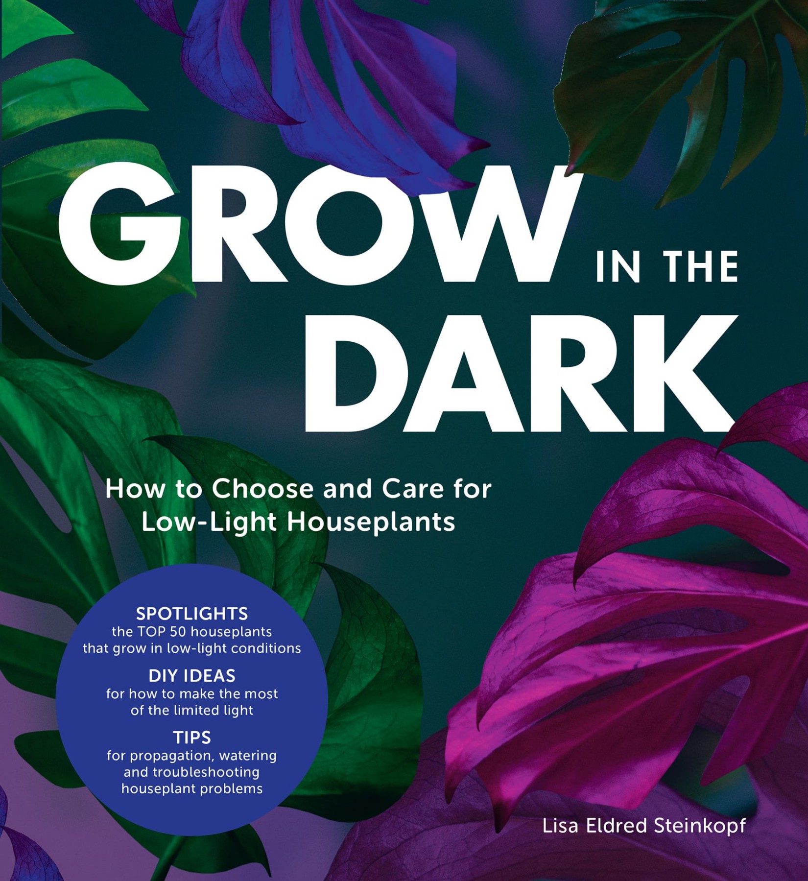 Grow in the Dark: How to Choose and Care for Low-Light Houseplants