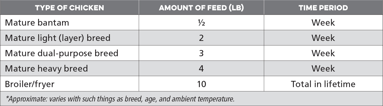 HOW MUCH CHICKENS EAT