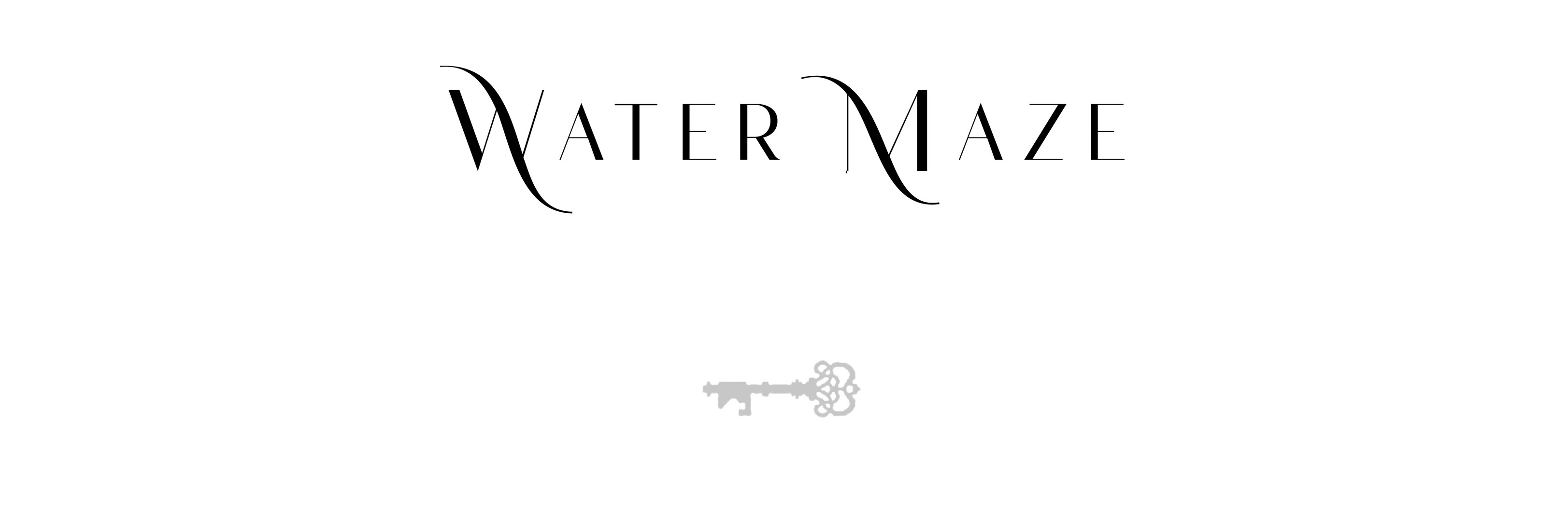 Water Maze