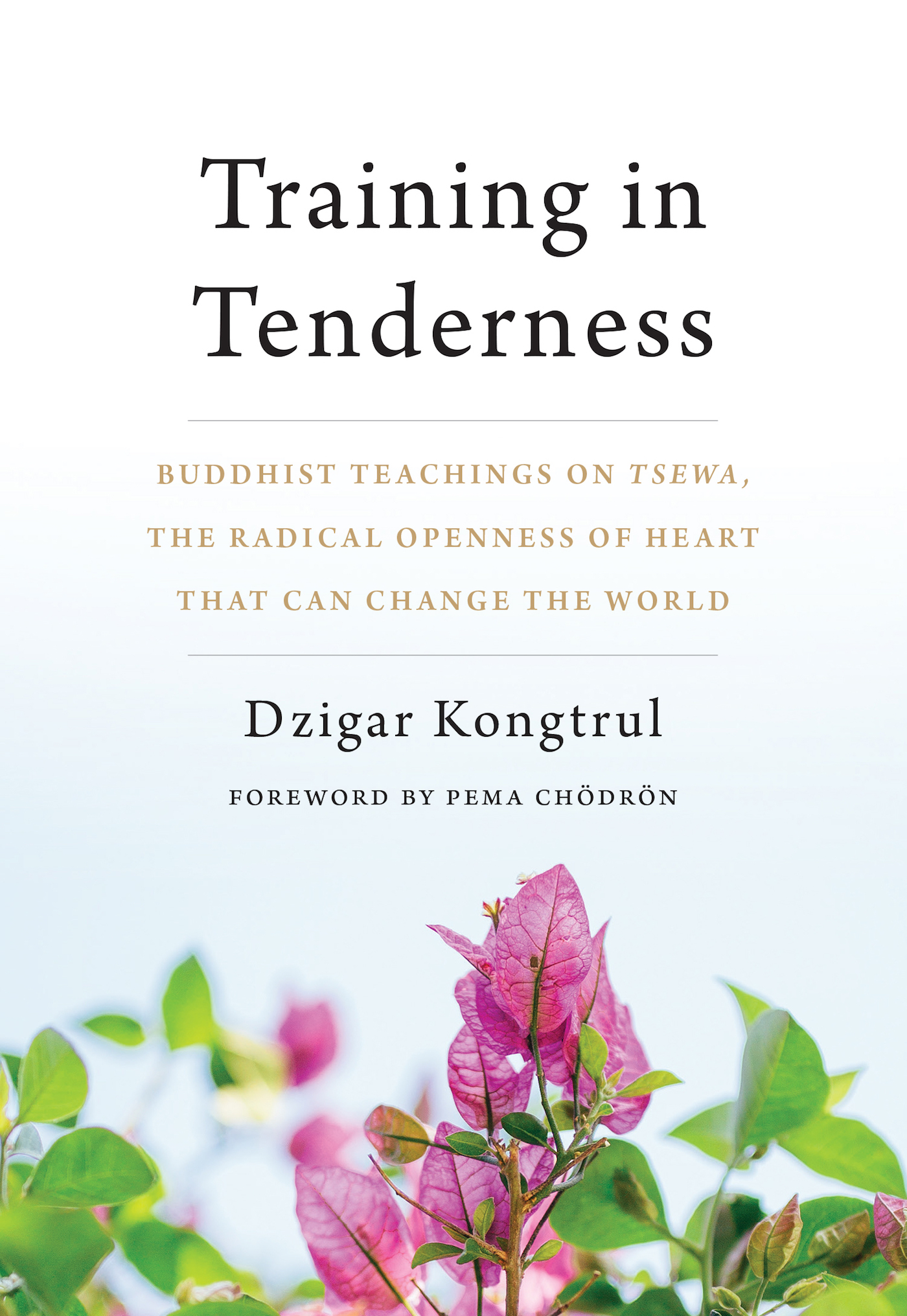 Cover for Training in Tenderness