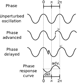 11024_005_fig_010.jpg