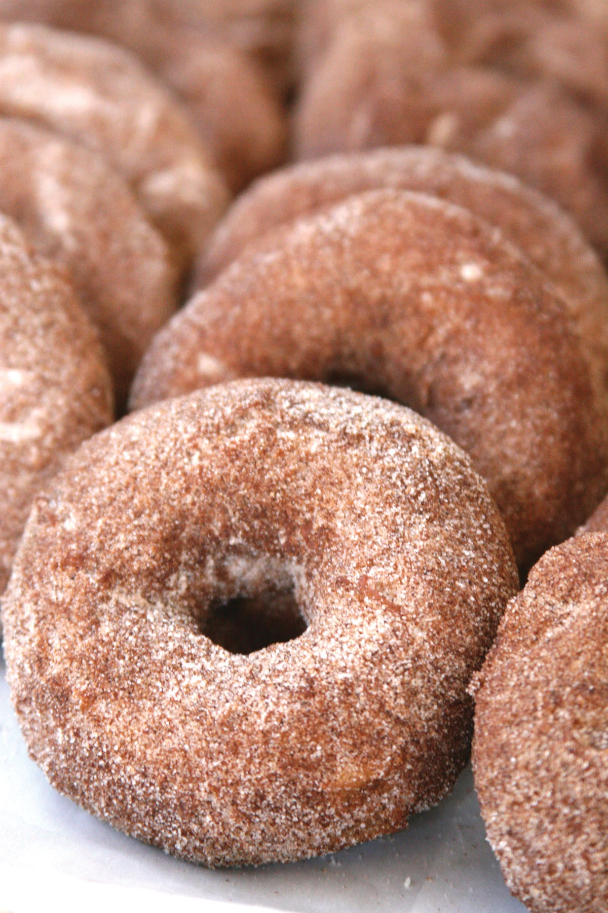 Photo of Apple Cider Doughnuts.