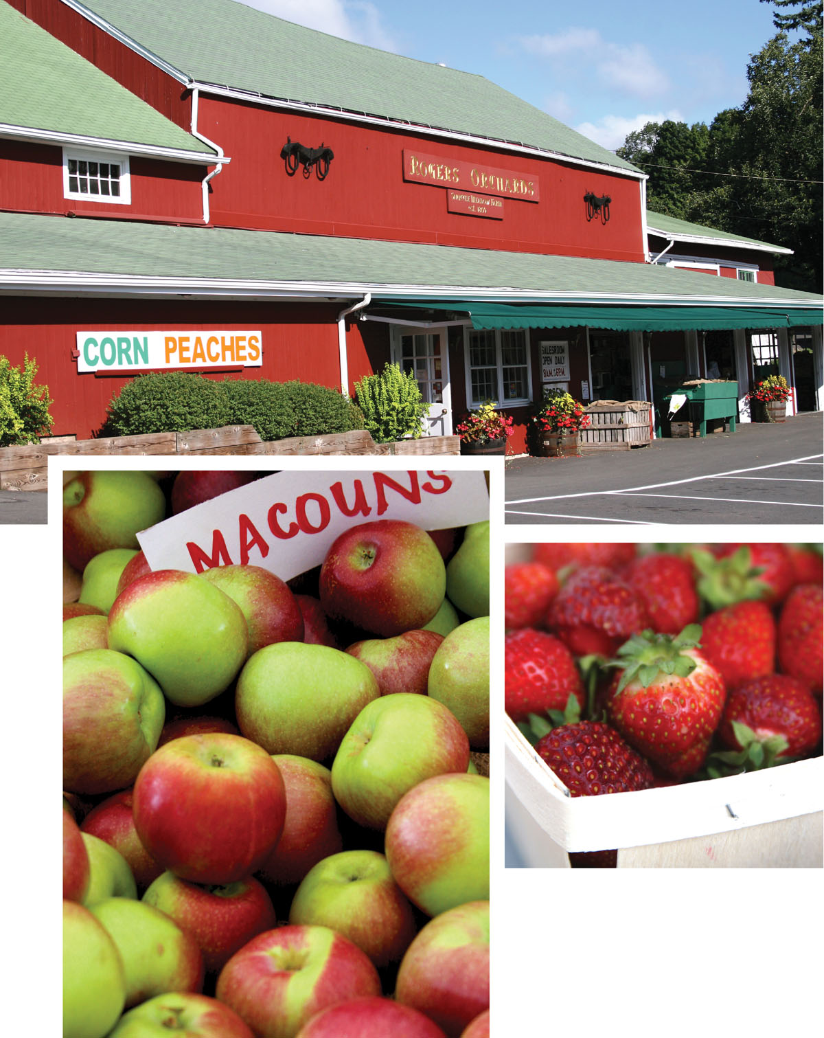 Photo of country store and produce.