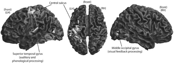 Figure 1.1