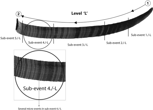 Figure 12.20