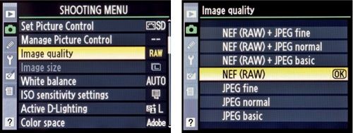 NEF (RAW) Image quality selection