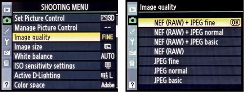 NEF (RAW) + JPEG fine Image quality selection