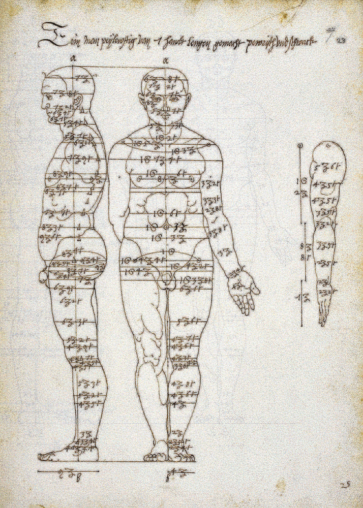 006_II_C0300593-Study_in_human_proportions_by_Durer-SPL.tif