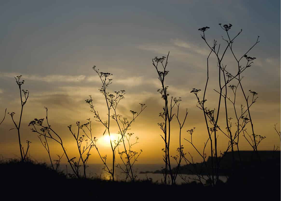 -_Malta-4385_Malta_EC.jpg