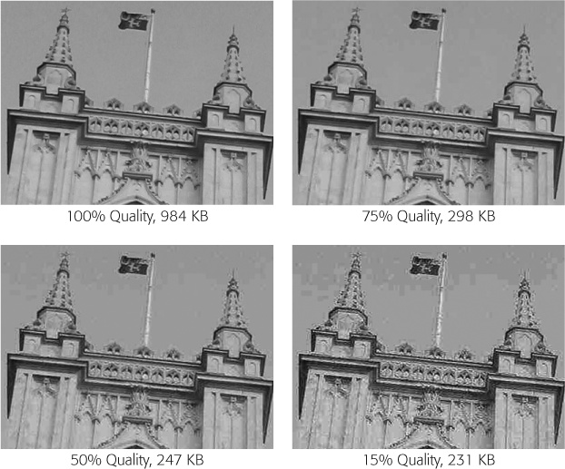 Compression can work—up to a point. In this example, cutting the quality factor from 100 percent to 75 percent shaves the file size of the picture to one-third without compromising its appearance. Reducing the quality further doesn't save much more disk space, and introduces a raft of compression artifacts. Note that the file sizes listed are for the whole picture, which is much bigger than the small portion shown here.