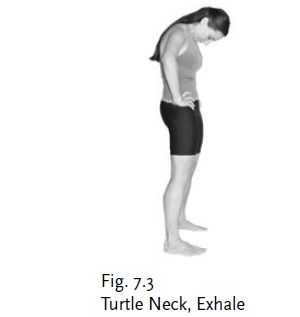 Ch07-Fig7.3