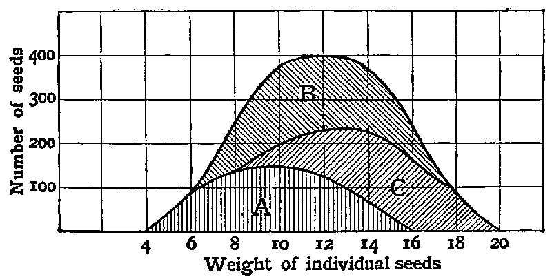 Fig. 31. Curves to illustrate the conception of pure lines in a population.