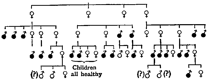 Fig. 35. Pedigree of a hæmophilic family.