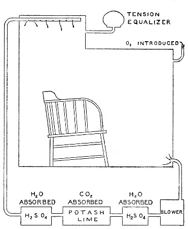 Fig. 27.—Diagram of ventilation of respiration calorimeter. The air is taken out at lower right-hand corner and forced by the blower through the apparatus for absorbing water and carbon dioxide. It returns to the calorimeter at the top. Oxygen can be introduced into the chamber itself as need is shown by the tension equalizer.