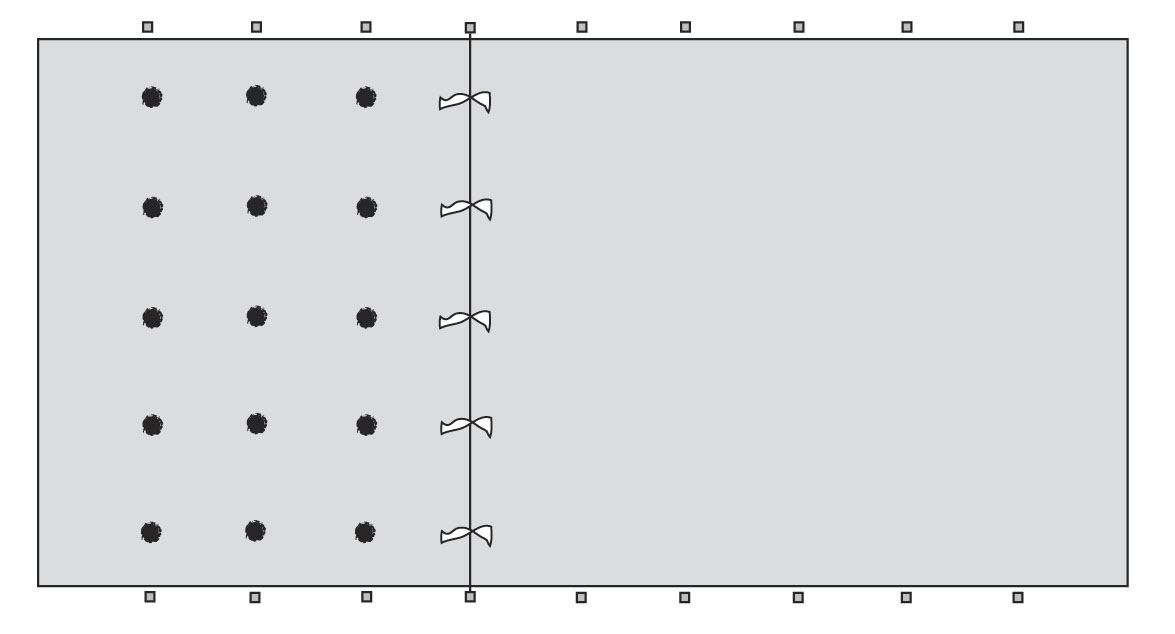 INFOG_Planting-layout.ai