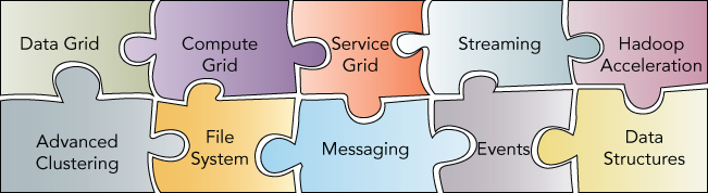 Schematic representation of a Apache Ignite as a data grid platform.