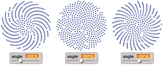 Some sunflower patterns generated using different angles