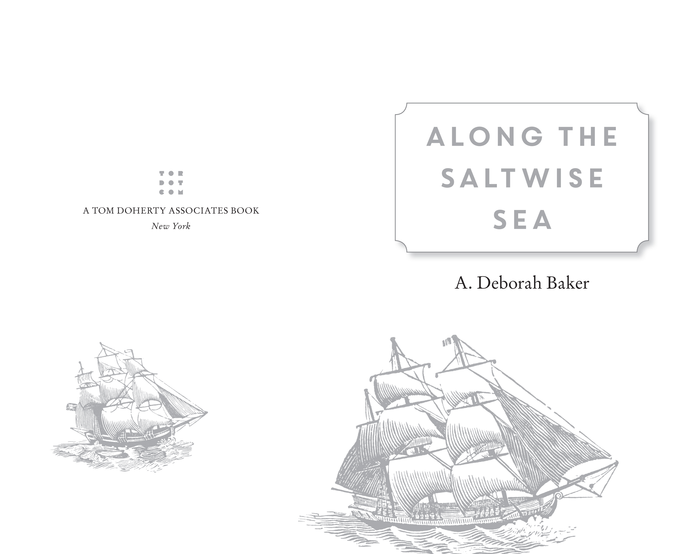 Along the Saltwise Sea by A. Deborah Baker