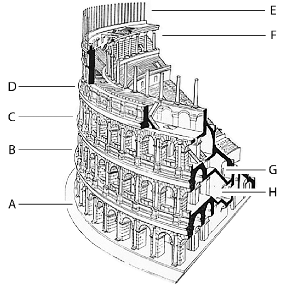 Sezione del Colosseo. 