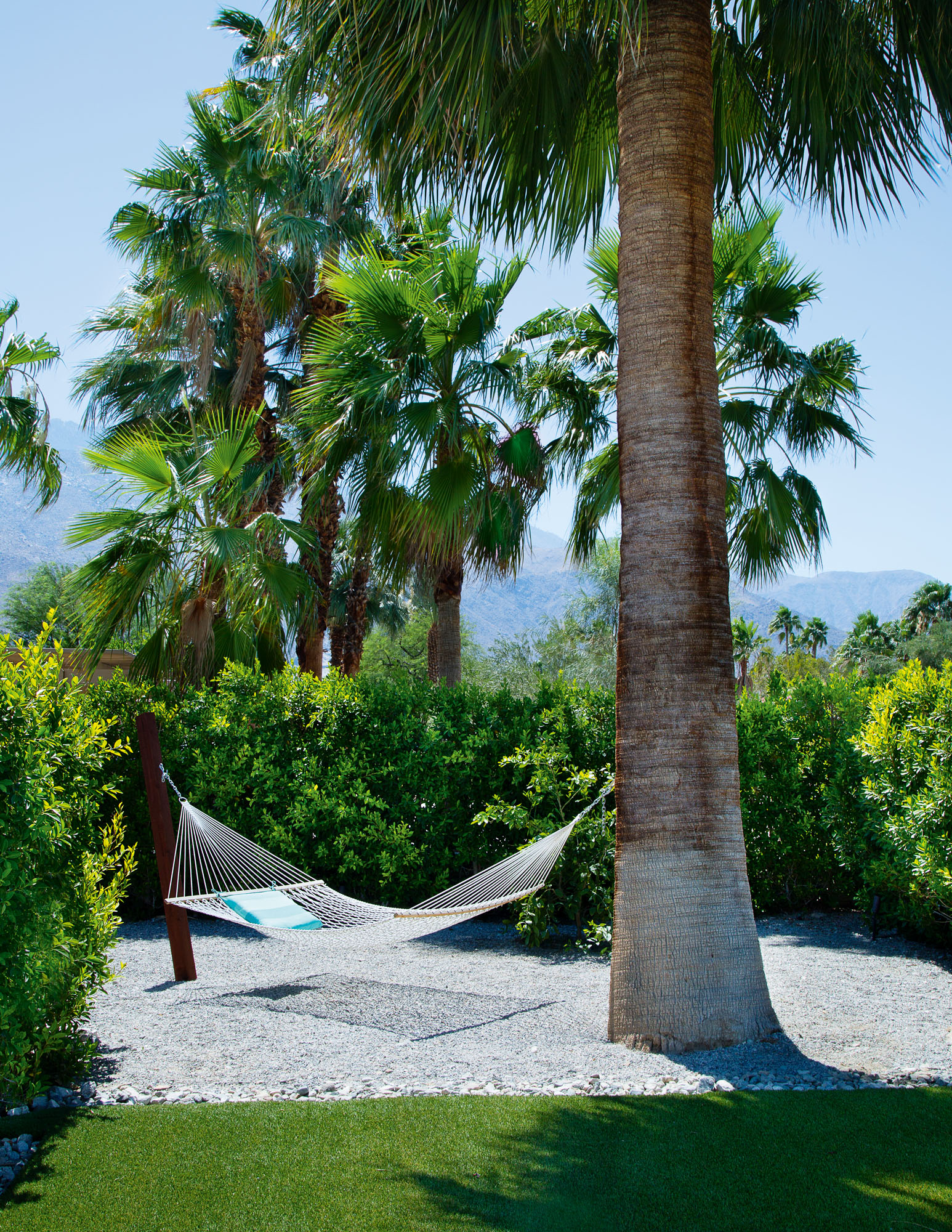 Photo of hanging hammock.