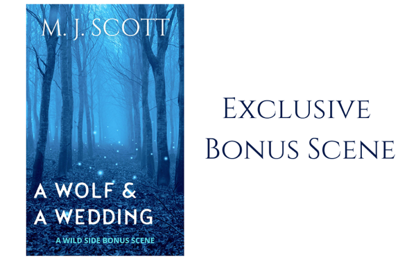 Image shows a blue wood with small lights along the path. A Wolf & A Wedding. Exclusive Bonus Scene.