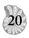 20