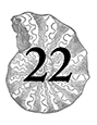 22