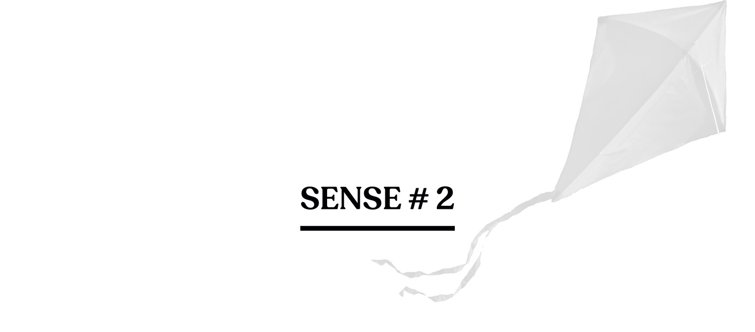 Sense # 2