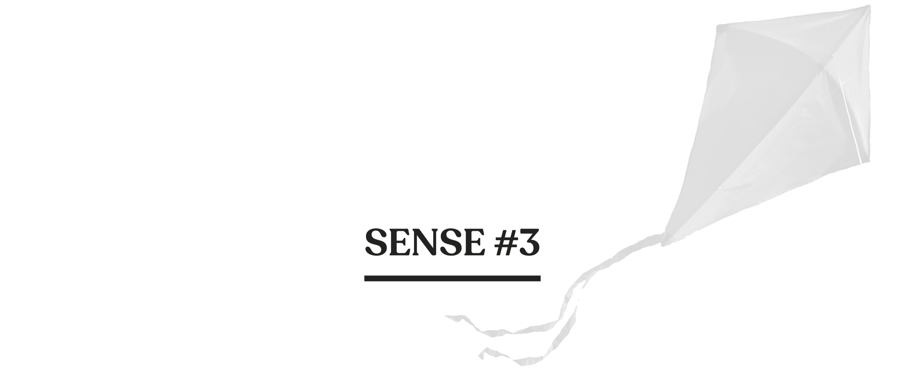 Sense #3