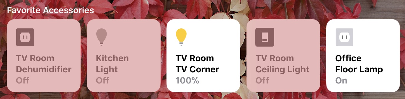 Figure 13: The Home app’s Home screen shows any accessory you’ve set as a Favorite.
