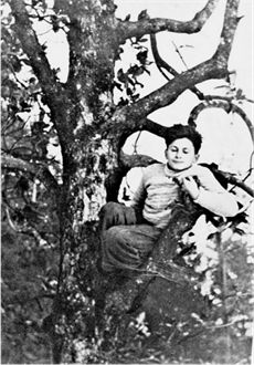 My first photo ever. Abraham Rozenzveig on a tree in Selvino