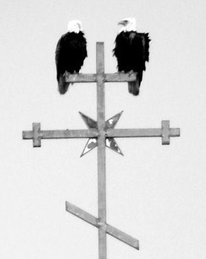 37_eagles_cross.tif