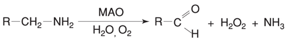 Oxidatív stressz