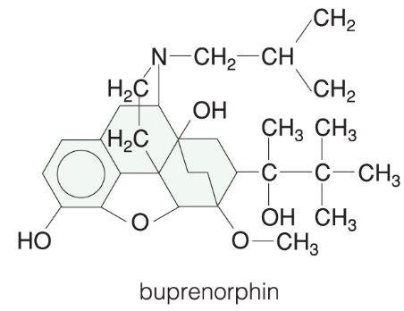 Buprenorphin