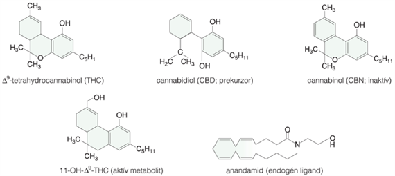 Cannabis sativa