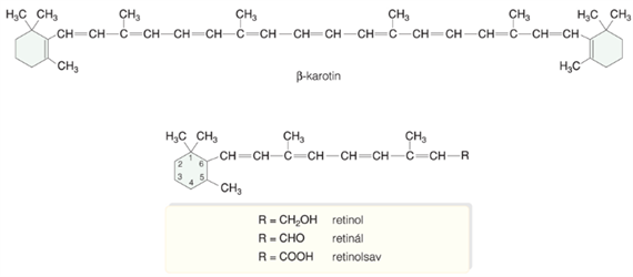 A-vitamin (retinol•)