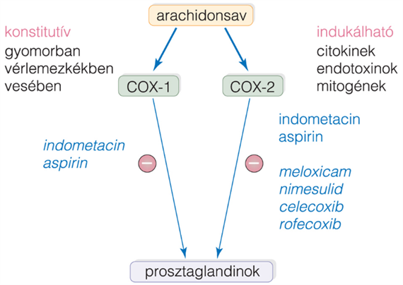 Hatásmechanizmus