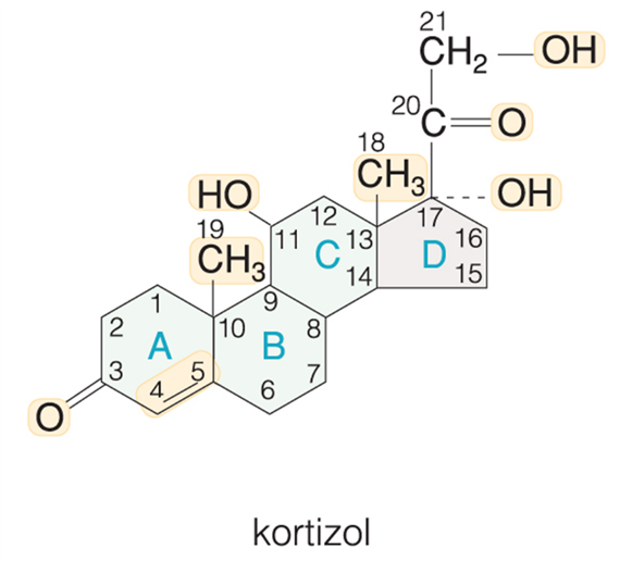 Természetes mellékvesekéreg-hormonok