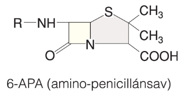 Penicillinek